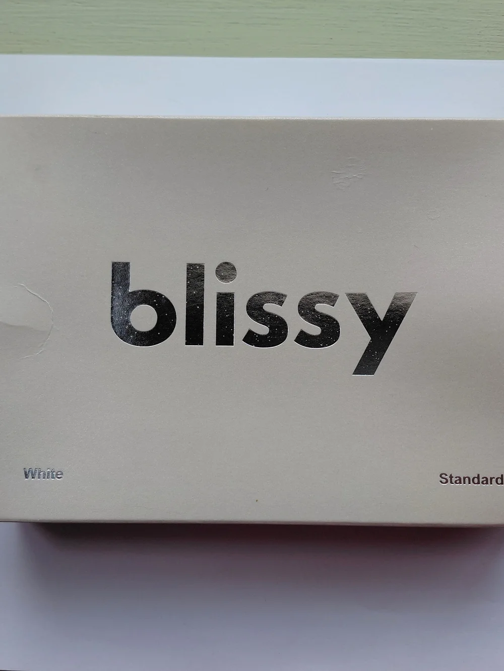 Blissy Silk Pillowcase Standard Size White 100% Mulberry Silk New In Box